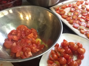 Preparing tomatoes for chutney and relish